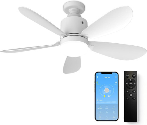 Ventilateur plafond avec - de,
