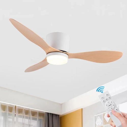 Ventilateur plafond - ventilateur,