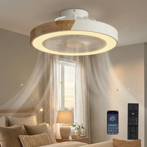 Ventilateur plafond avec - de,