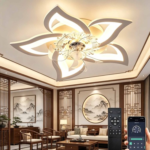Plafond lampe avec - plafond, ventilateur