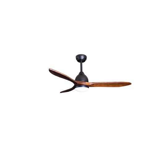Ventilateur plafond avec - ventilateur, de