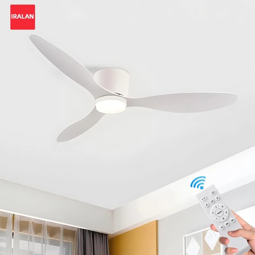 Ventilateur plafond iralan - ventilateur,